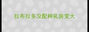 拉布拉多没配种乳房变大