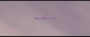 泰迪中暑吃什么药
