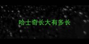 哈士奇长大有多长