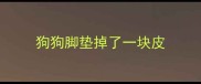 狗狗脚垫掉了一块皮