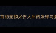 已接种狂犬疫苗的宠物犬伤人后的法律与医学处理指南