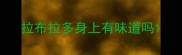 拉布拉多身上有味道吗