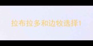 拉布拉多和边牧选择