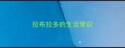 拉布拉多的生活常识