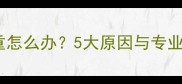 小狗泪痕重怎么办5大原因与专业护理指南