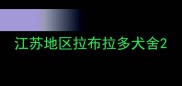 江苏地区拉布拉多犬舍