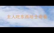 主人吃东西哈士奇看