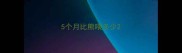 5个月比熊喂多少