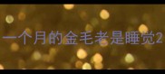 一个月的金毛老是睡觉