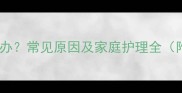 猫咪眼周黑点怎么办常见原因及家庭护理全附专业医生建议