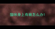 猫咪身上有癣怎么办