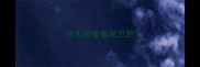 哈士奇垂着尾巴跑