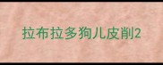 拉布拉多狗儿皮削