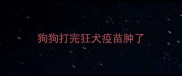 狗狗打完狂犬疫苗肿了
