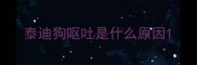 泰迪狗呕吐是什么原因