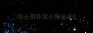 哈士奇吓哭小狗金毛