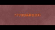 2个月的猫要驱虫吗