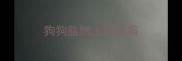 狗狗胳膊上有皮屑