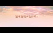 猫咪腹积水会好吗