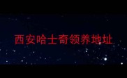 西安哈士奇领养地址