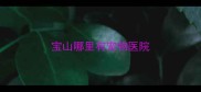 宝山哪里有宠物医院