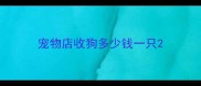 宠物店收狗多少钱一只