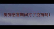 狗狗感冒期间打了疫苗吗