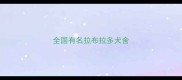 全国有名拉布拉多犬舍