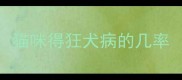 猫咪得狂犬病的几率