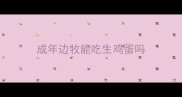 成年边牧能吃生鸡蛋吗