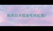 狗用狂犬疫苗作用机理