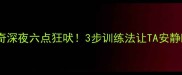 哈士奇深夜六点狂吠3步训练法让TA安静睡觉