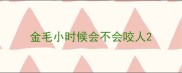 金毛小时候会不会咬人