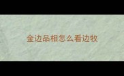金边品相怎么看边牧