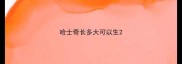 哈士奇长多大可以生