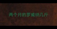 两个月的罗威纳几斤