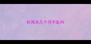 杜宾犬几个月不乱叫