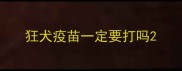 狂犬疫苗一定要打吗