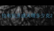 拉布拉多成犬喂多少克
