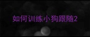 如何训练小狗跟随