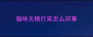 猫咪无精打采怎么回事