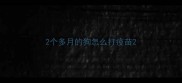 2个多月的狗怎么打疫苗