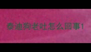 泰迪狗老吐怎么回事