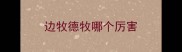 边牧德牧哪个厉害