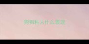 狗狗粘人什么表现