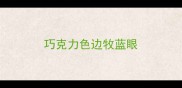 巧克力色边牧蓝眼