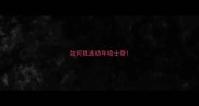 如何挑选幼年哈士奇