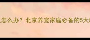 猫咪呕吐白色线虫怎么办北京养宠家庭必备的5大驱虫家庭护理指南