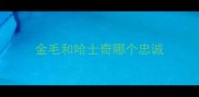 金毛和哈士奇哪个忠诚