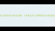 哈士奇装死训练全攻略3步教会你让狗狗学会诈死绝技